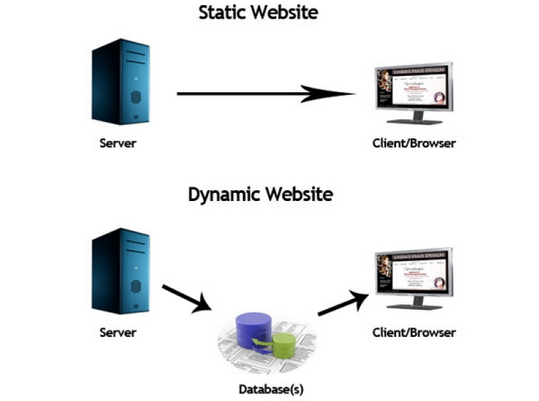 Phân biệt website tĩnh website động